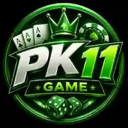 PK11 GAME